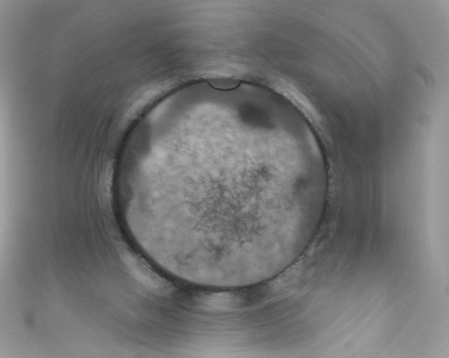 X0000111010058200907171843