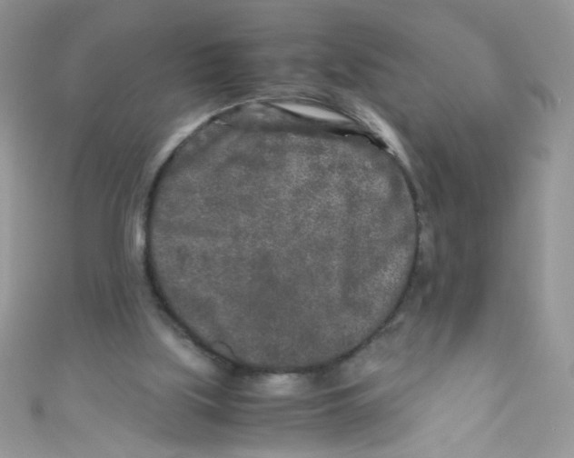 X0000111010059200907171843