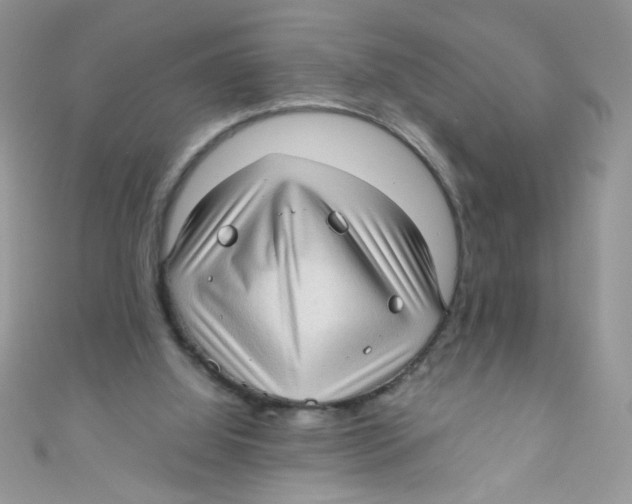 X0000111010060200907171843
