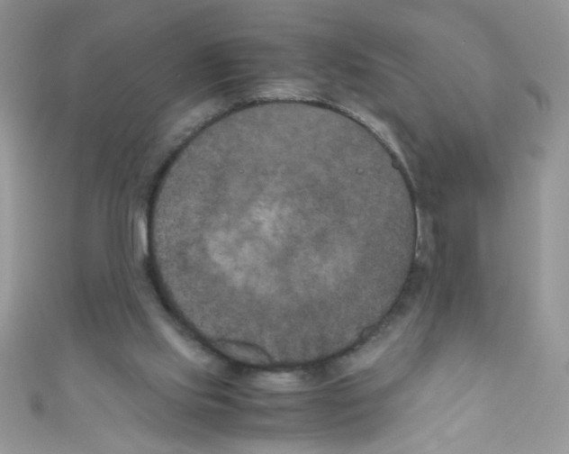 X0000111010061200907171843