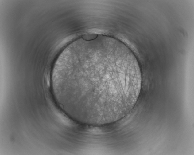 X0000111010062200907171843