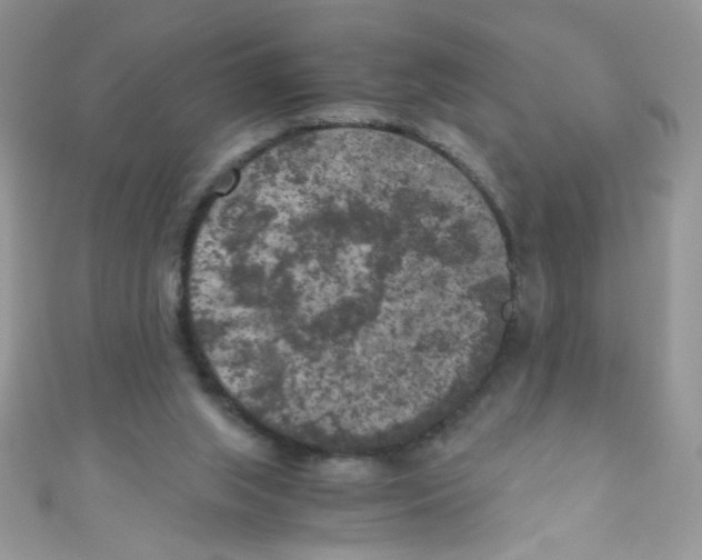 X0000111010063200907171843