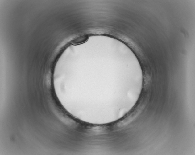 X0000111010064200907171843