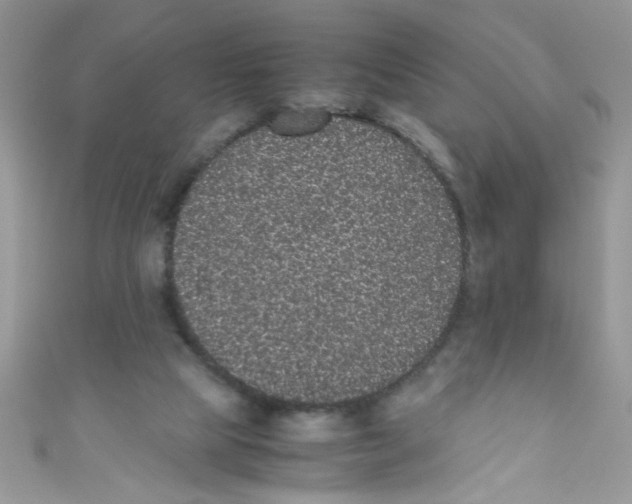 X0000111010065200907171843