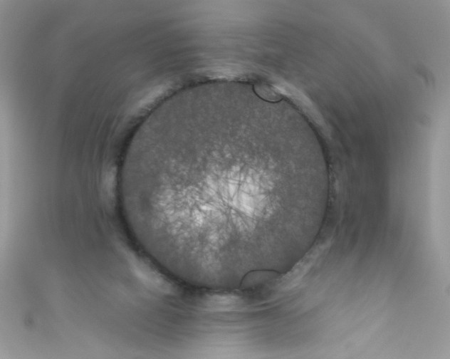 X0000111010066200907171843