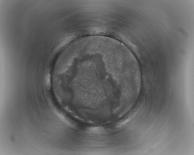 X0000111010067200907171843
