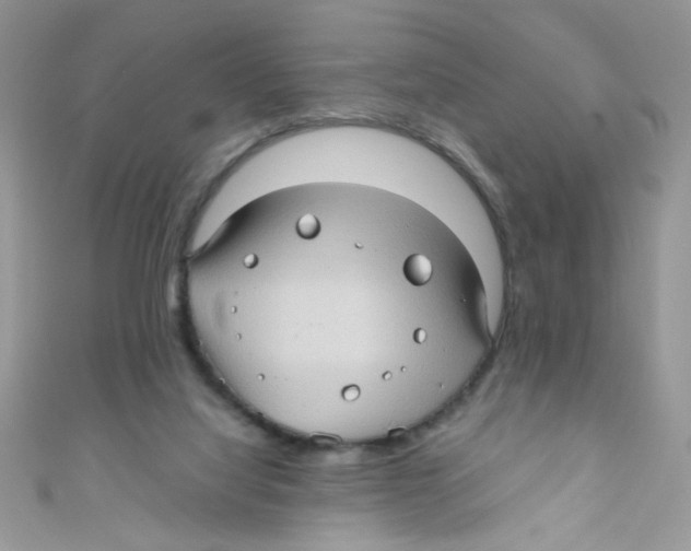 X0000111010068200907171843