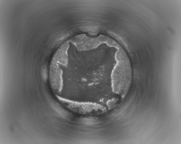 X0000111010069200907171843