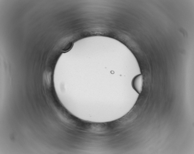 X0000111010070200907171843