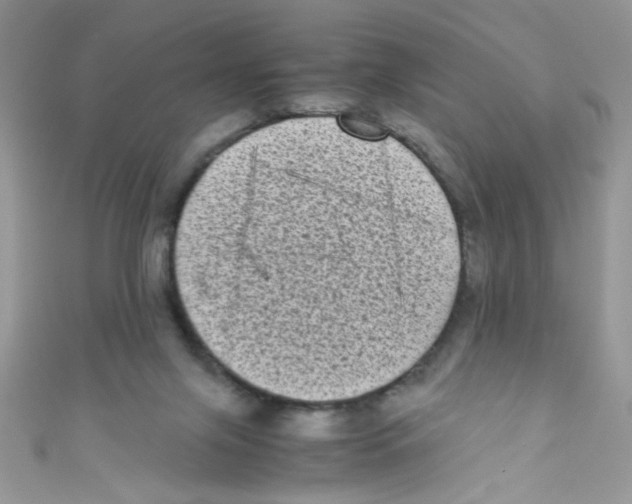 X0000111010071200907171843