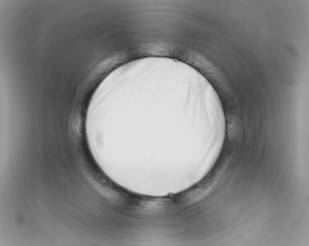 X0000111010072200907171843