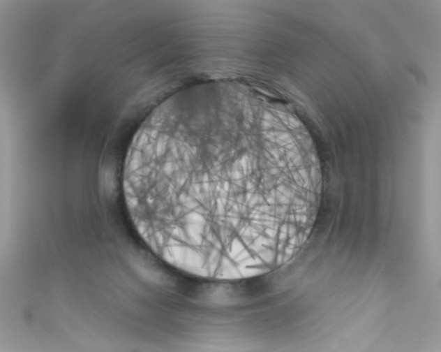 X0000111010074200907171843