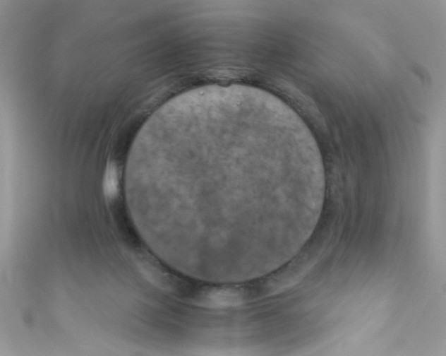 X0000111010075200907171843