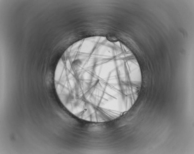 X0000111010077200907171843
