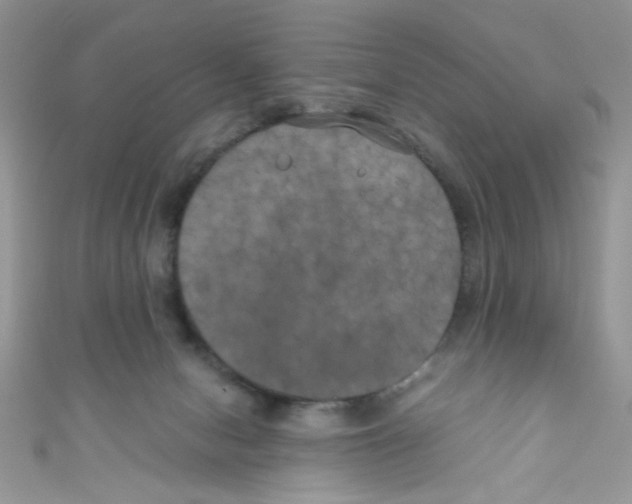 X0000111010078200907171843