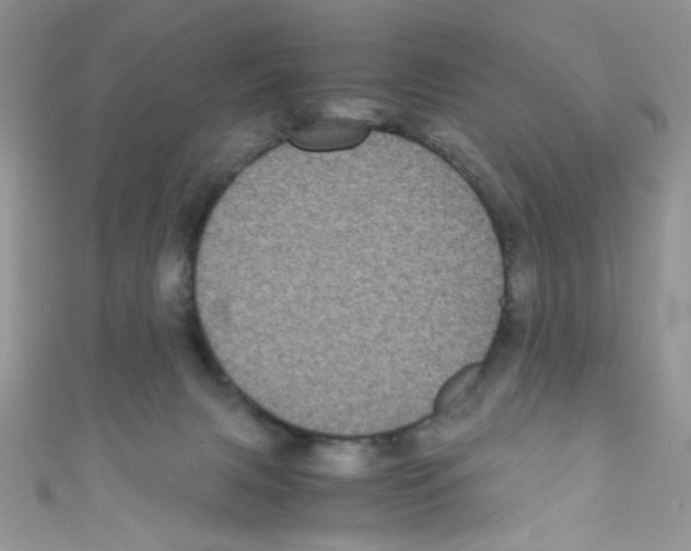 X0000111010079200907171843