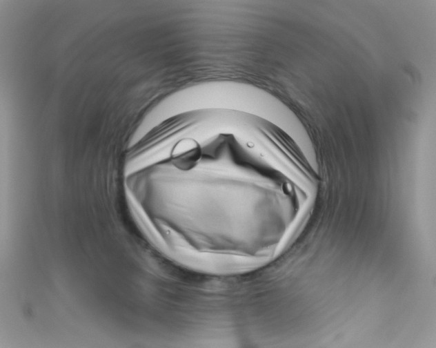 X0000111010080200907171843