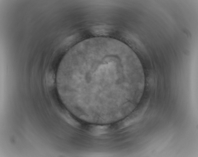 X0000111010081200907171843