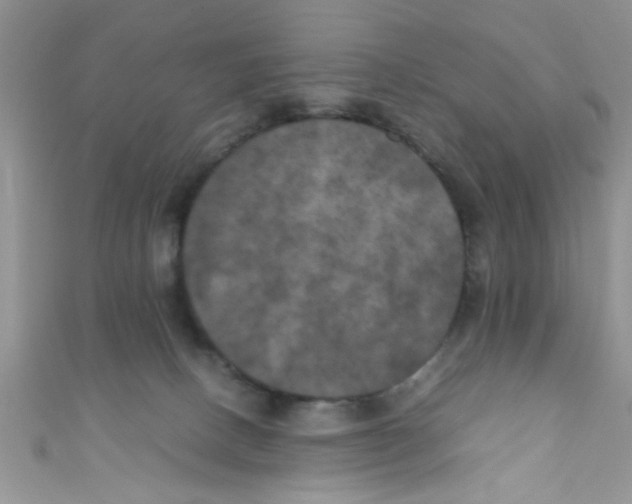 X0000111010082200907171843