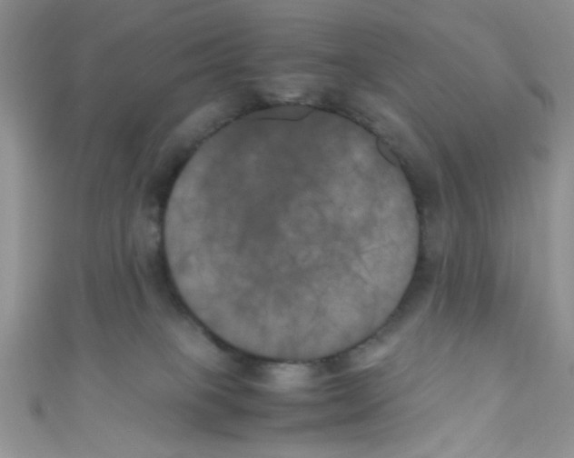 X0000111010085200907171843