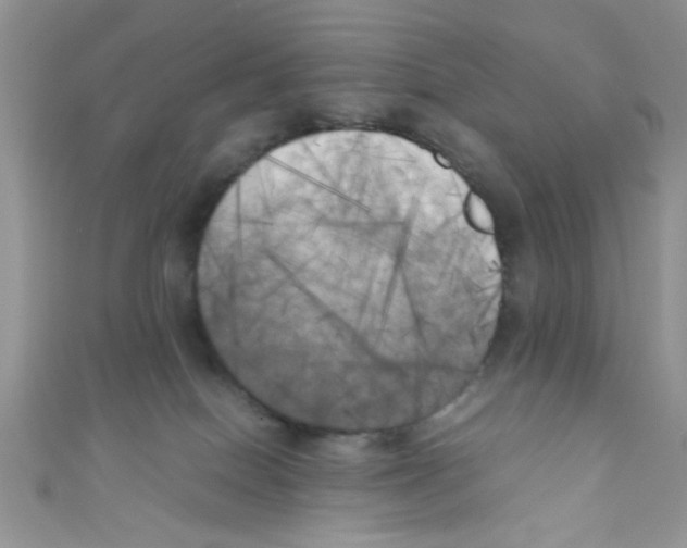 X0000111010086200907171843