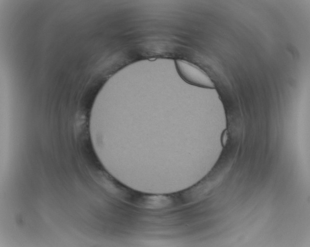 X0000111010087200907171843