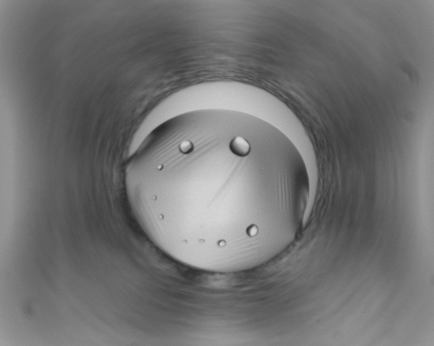 X0000111010088200907171843