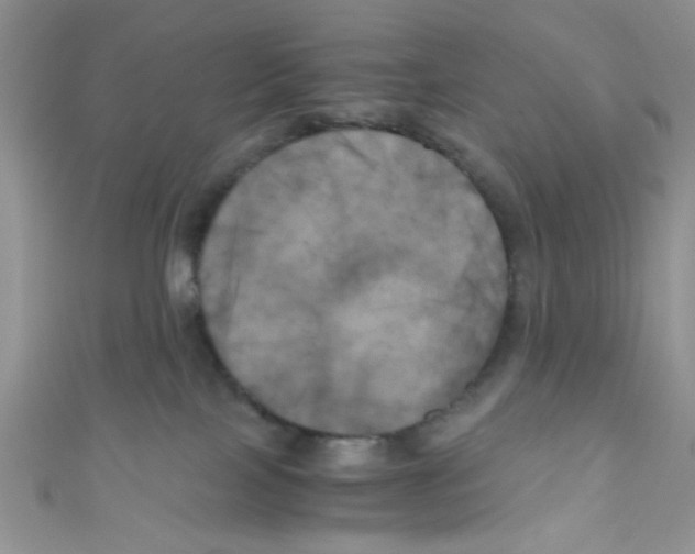 X0000111010089200907171843