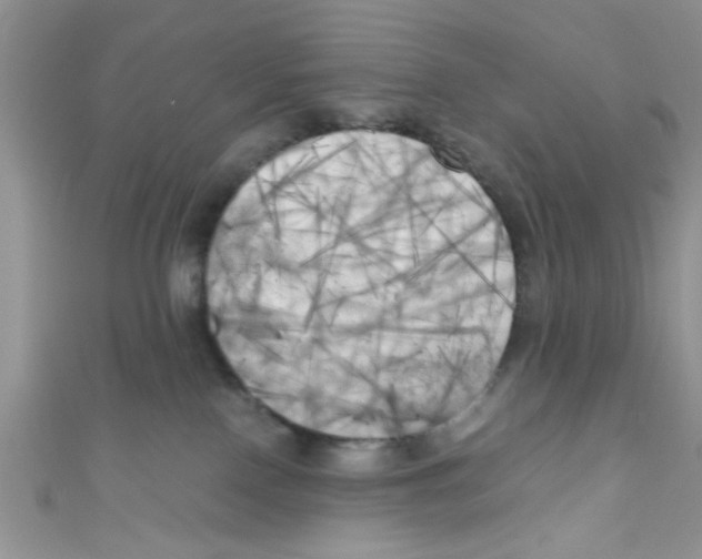 X0000111010090200907171843