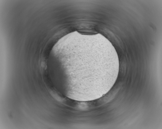 X0000111010091200907171843