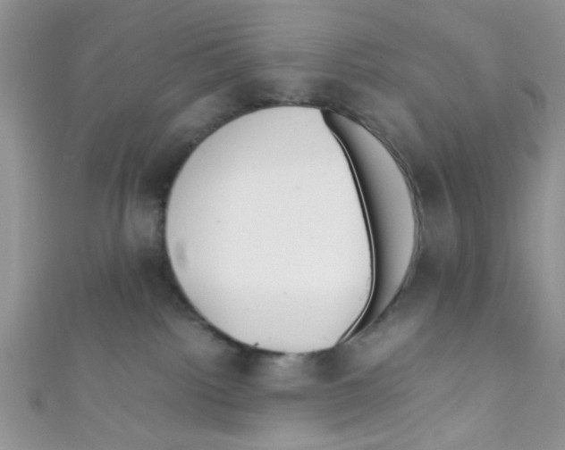 X0000111010092200907171843