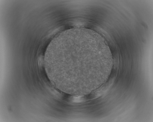 X0000111010093200907171843