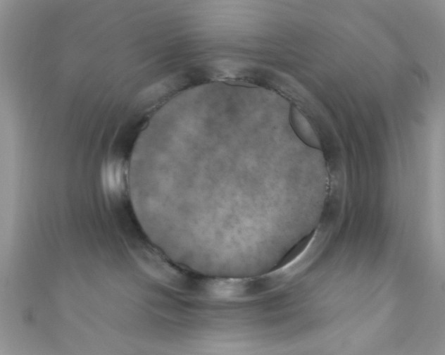 X0000111010094200907171843