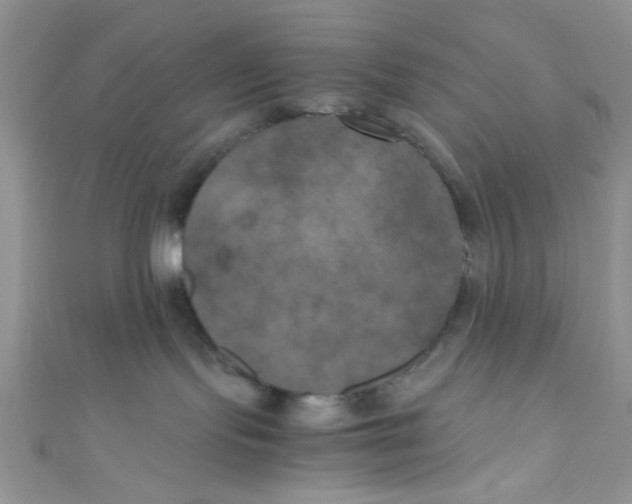 X0000111010095200907171843
