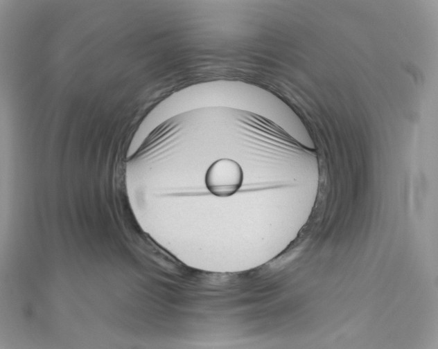 X0000111010096200907171843