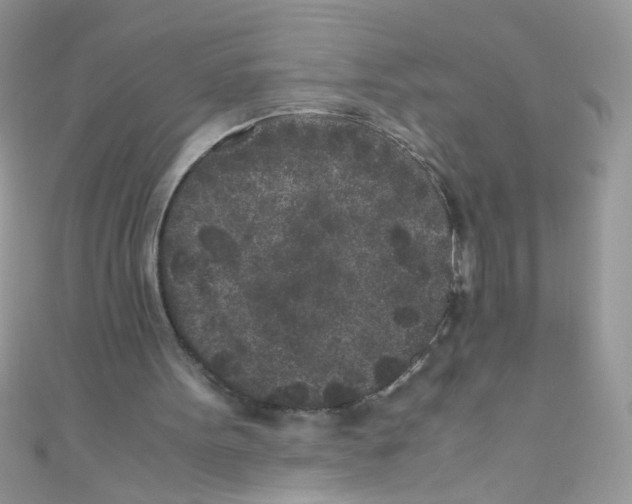 X0000111010099200907171843