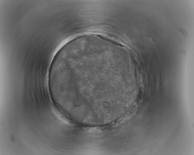 X0000111010100200907171843