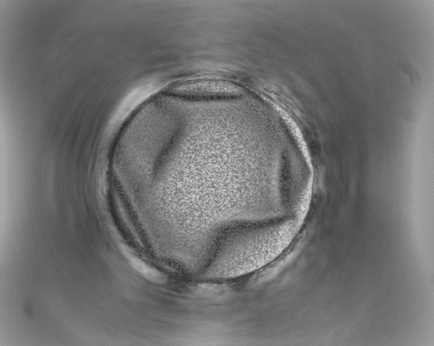 X0000111010101200907171843