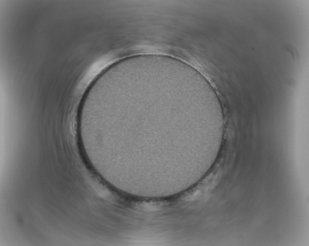 X0000111010103200907171843