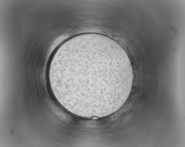 X0000111010104200907171843