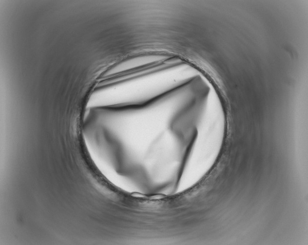 X0000111010105200907171843