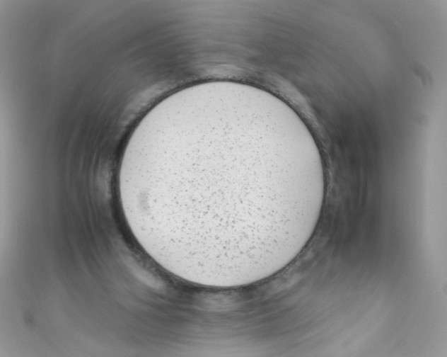 X0000111010106200907171843
