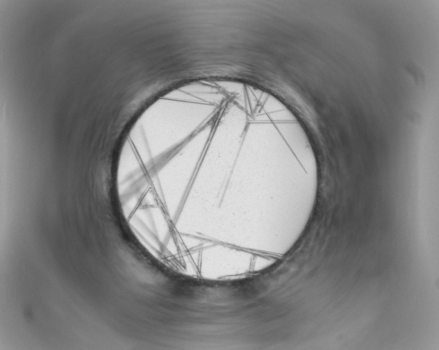 X0000111010107200907171843