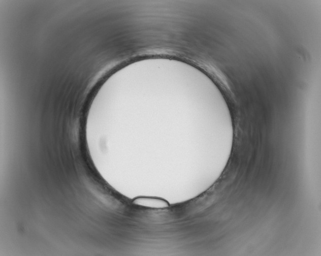 X0000111010108200907171843