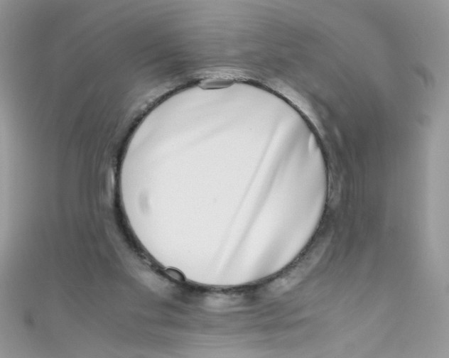 X0000111010109200907171843