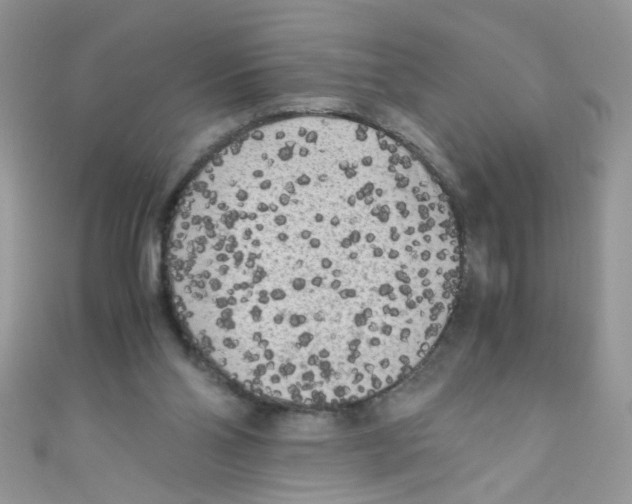 X0000111010110200907171843