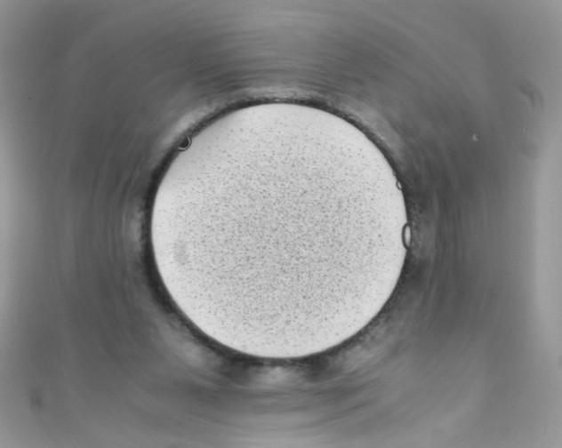 X0000111010111200907171843