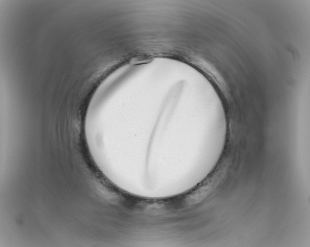 X0000111010113200907171843