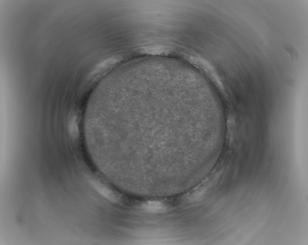 X0000111010114200907171842