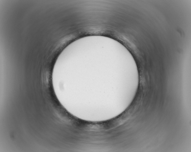 X0000111010115200907171842